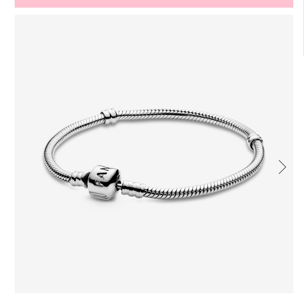 Pandora charm bracelet